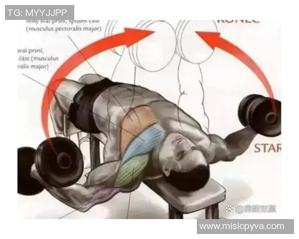 哑铃飞鸟标准动作详解与注意事项助你塑造完美胸部线条